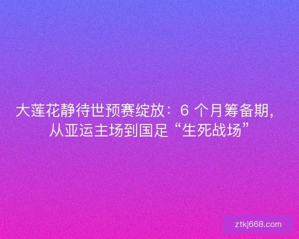 大莲花静待世预赛绽放：6 个月筹备期，从亚运主场到国足 “生死战场”