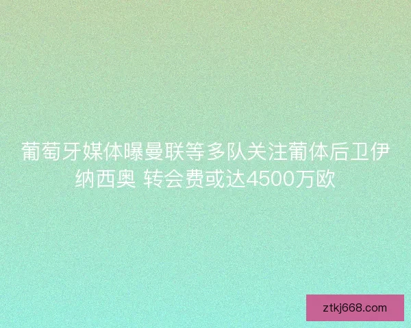 葡萄牙媒体曝曼联等多队关注葡体后卫伊纳西奥 转会费或达4500万欧