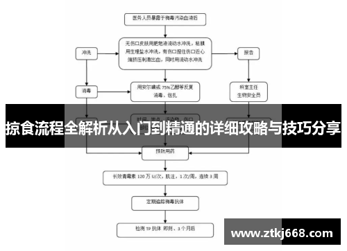 掠食流程全解析从入门到精通的详细攻略与技巧分享