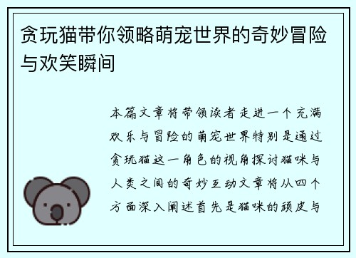 贪玩猫带你领略萌宠世界的奇妙冒险与欢笑瞬间