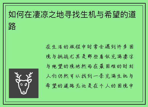 如何在凄凉之地寻找生机与希望的道路